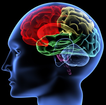 evidence-based social science